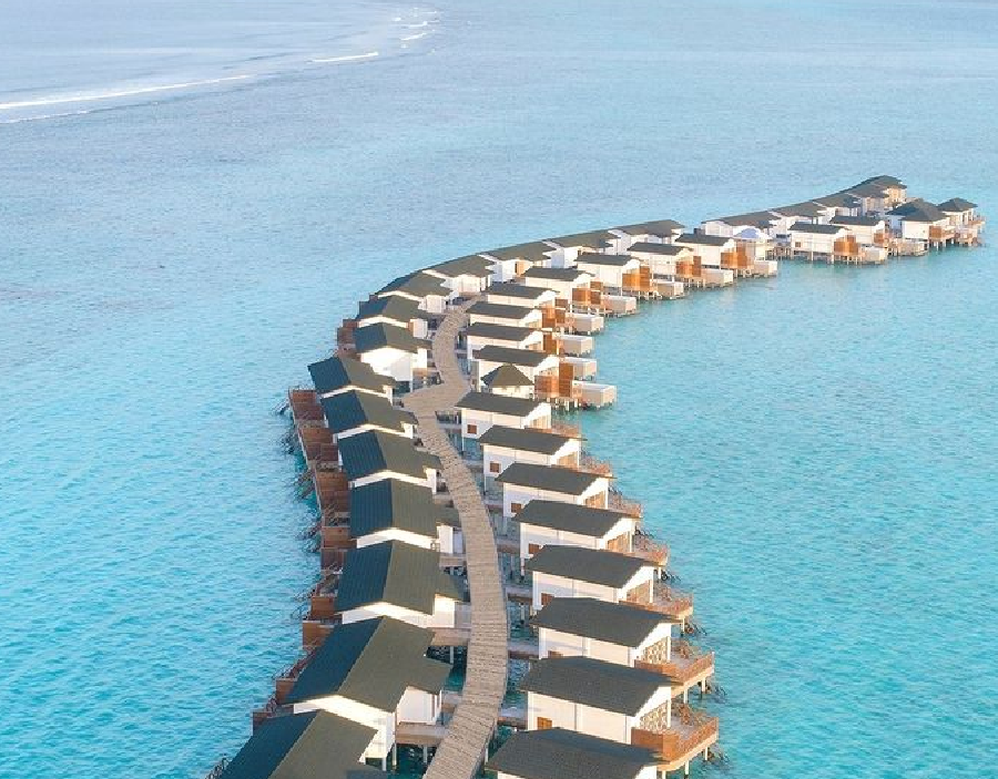 Joy Island
